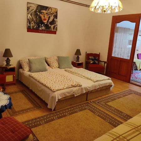 Csukavoelgyi Apartman 维谢格拉德 外观 照片