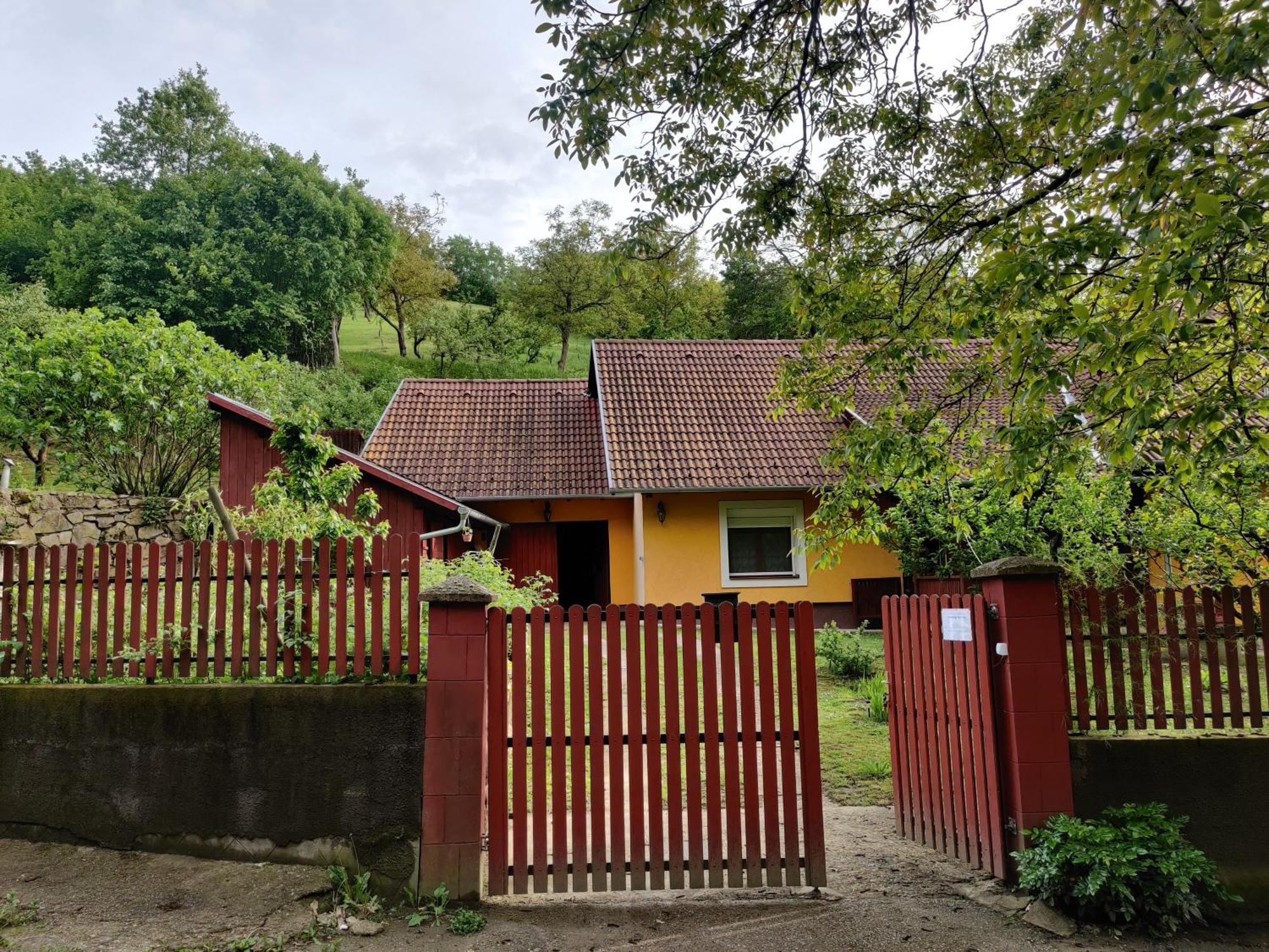 Csukavoelgyi Apartman 维谢格拉德 外观 照片